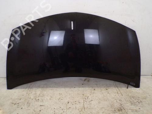Used Hood RENAULT CLIO III (BR0/1, CR0/1) 1.2 16V (BR02, BR0J, BR11, CR02, CR0J, CR11) (75 hp) 29085813