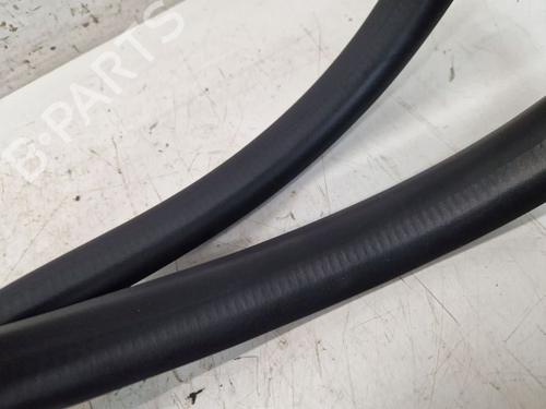 Gummiliste RENAULT ZOE (BFM_) ZOE (BFMD) | BP29105867C142 