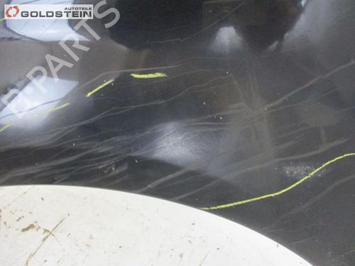 Guarda-lamas esquerdo CITROËN C2 (JM_) 1.4 HDi | BP18762882C41