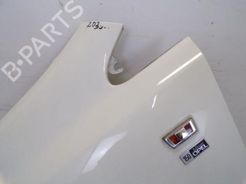Left front fenders OPEL CORSA D (S07) 1.2 (L08, L68) | BP29095733C41 