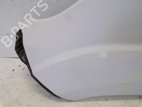 Left front fenders FIAT DUCATO Van (250_) 115 Multijet 2,0 D | BP29097633C41 