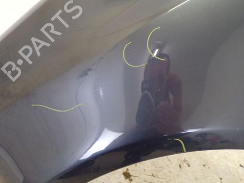 Left front fenders OPEL CORSA D (S07) 1.4 (L08, L68) | BP19636915C41 