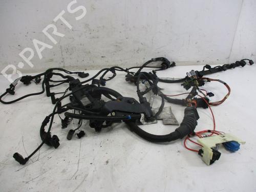 Used Wiring harness Wiring harness BMW 7 (E65, E66, E67) 730 Ld (231 hp) 34411373 34411373