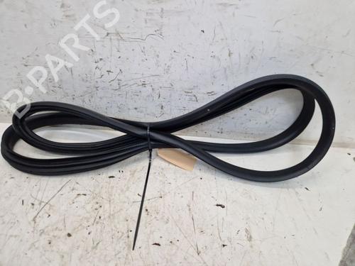 Gummiliste RENAULT ZOE (BFM_) ZOE (BFMD) (109 hp) 29105867