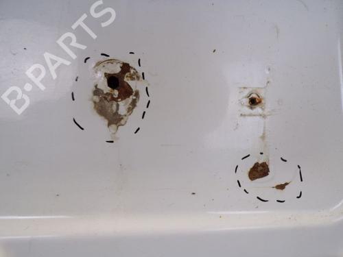 Tailgate FORD TRANSIT CONNECT (P65_, P70_, P80_) 1.8 TDCi | BP29096257C6 