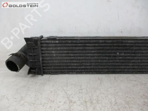 Intercooler FORD S-MAX (WA6) 2.0 TDCi | BP18750414M30 