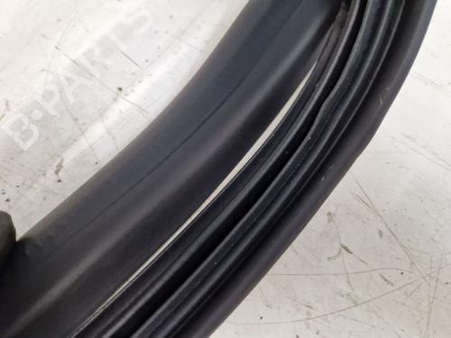 Gummiliste RENAULT ZOE (BFM_) ZOE (BFMD) | BP29105868C142 