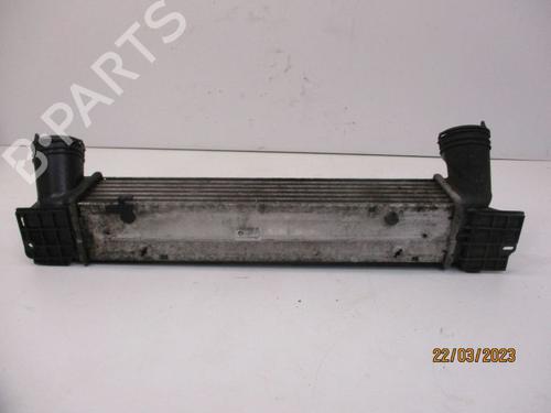 Intercooler BMW 1 (E81) 118 d | BP29083834M30 