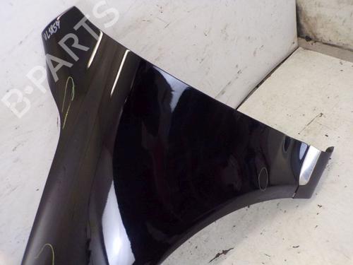 Left front fenders VW TOUAREG (7LA, 7L6, 7L7) 3.2 V6 | BP19295326C41 