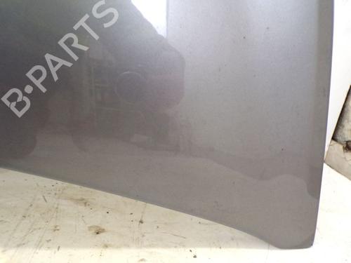 Hood RENAULT CLIO III (BR0/1, CR0/1) 1.2 16V (BR02, BR0J, BR11, CR02, CR0J, CR11) | BP18801650C1