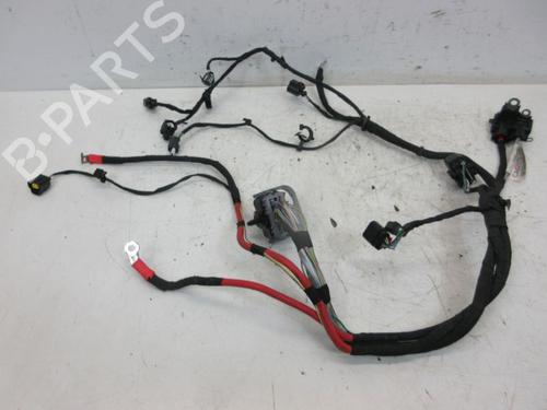 Used Wiring harness FORD FIESTA VII (HJ, HF) 1.5 ST EcoBoost (200 hp) 29098411