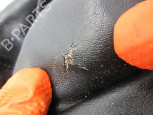 Shift knob DODGE JOURNEY 2.4 | BP29094937I34 