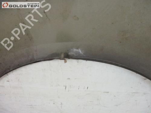 Right front fenders SEAT TOLEDO III (5P2) 1.9 TDI | BP18764886C42 