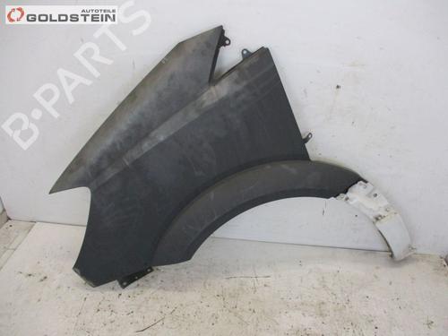 Used Left front fenders MERCEDES-BENZ SPRINTER 3,5-t Van (B906) 313 CDI (906.631, 906.633, 906.635, 906.637) (129 hp) 18757166