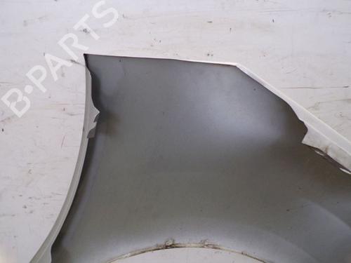 Left front fenders CITROËN C3 II (SC_) 1.0 VTi 68 | BP30668176C41 