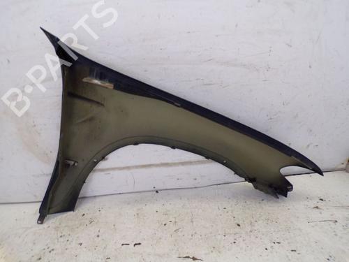 Left front fenders BMW X5 (E53) 4.4 i | BP29090665C41 