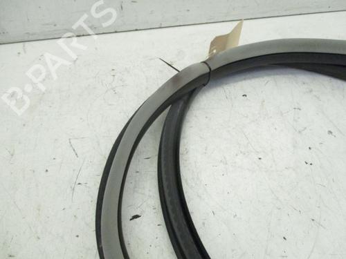 Rubber door seal RENAULT LAGUNA III Grandtour (KT0/1) 2.0 dCi (KT01, KT08, KT09, KT0K, KT12, KT1D, KT1W) | BP18807639C142 