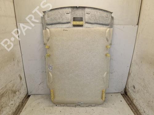 Interior roof VW POLO V (6R1, 6C1) 1.2 | BP29108032I12 