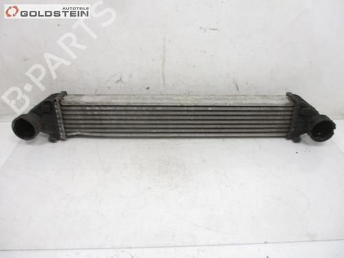 Intercooler Intercooler MERCEDES-BENZ A-CLASS (W169) A 180 CDI (169.007, 169.307) (109 hp) 37104027 37104027