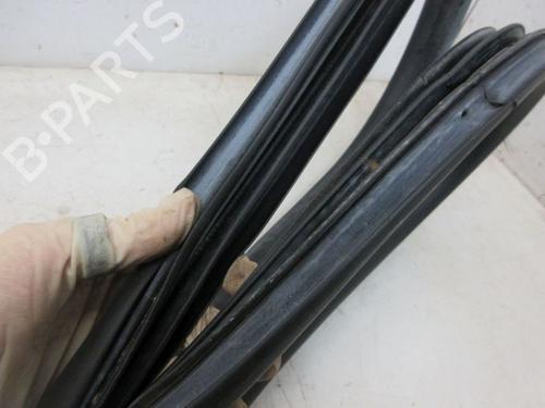Rubber door seal RENAULT GRAND SCÉNIC III (JZ0/1_) 1.4 16V (JZ0F) | BP19299868C142 