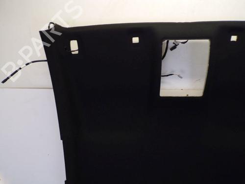 Interior roof FORD FIESTA VII (HJ, HF) 1.5 ST EcoBoost | BP29098328I12 