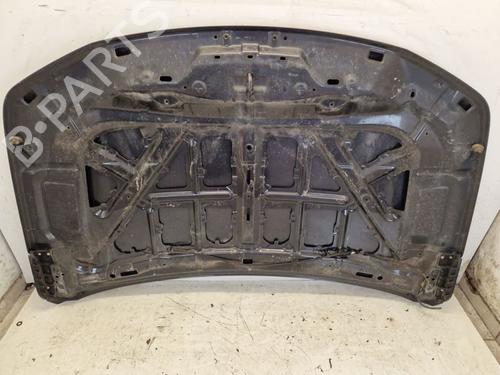 Hood SUZUKI GRAND VITARA II (JT, TE, TD) 1.9 DDiS All-wheel Drive (JT419, TD44, JB419WD, JB419XD,... | BP29107214C1 