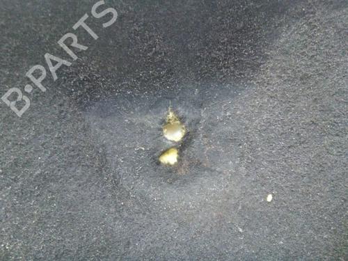 Panser DACIA LODGY (JS_) 1.5 dCi (JSMC, JSAF) | BP30358667C1 