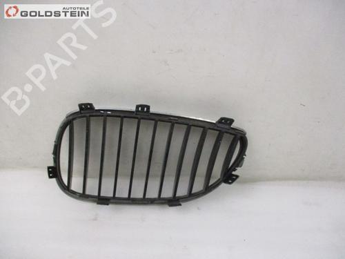 Grille BMW 5 Touring (E61) 530 d | BP18756375C40 