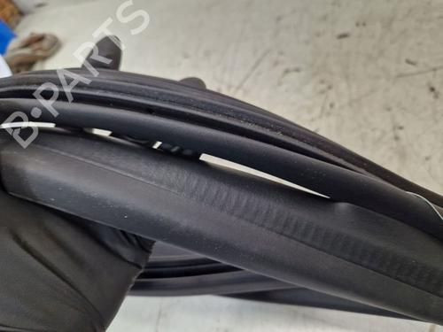 Gummiliste RENAULT ZOE (BFM_) ZOE (BFMD) | BP29105867C142 