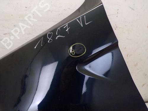 Left front fenders BMW X5 (E53) 4.4 i | BP29090665C41 