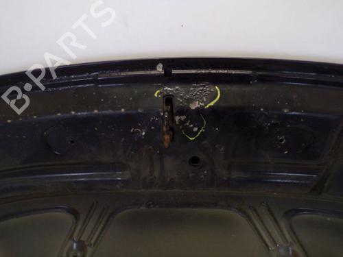 Hood PEUGEOT 307 CC (3B) 2.0 HDi 135 | BP29095161C1