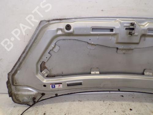Hood PEUGEOT 1007 (KM_) 1.4 | BP29089023C1 