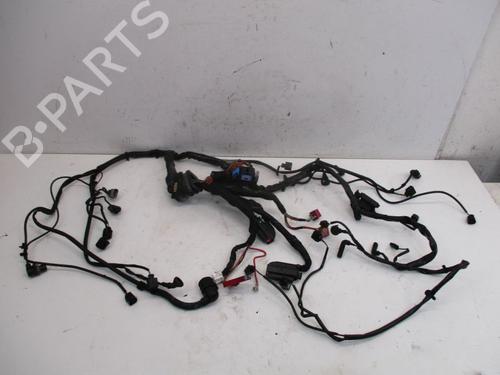 Used Wiring harness AUDI A4 B7 Avant (8ED) 2.5 TDI (163 hp) 29087441