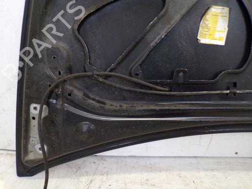 Hood RENAULT CLIO III (BR0/1, CR0/1) 1.2 16V (BR02, BR0J, BR11, CR02, CR0J, CR11) | BP29085813C1 