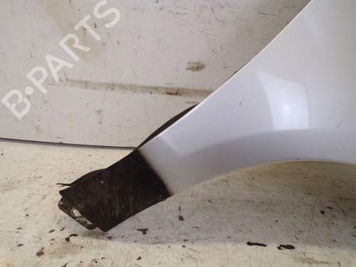 Right front fenders MERCEDES-BENZ A-CLASS (W169) A 160 CDI (169.006, 169.306) | BP29090932C42 