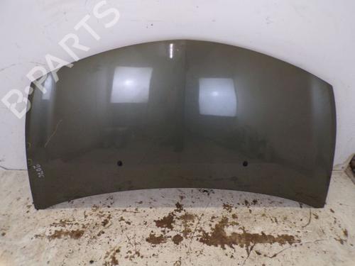 Used Hood RENAULT CLIO III Grandtour (KR0/1_) 1.2 16V (KR02, KR0J) (75 hp) 29096635