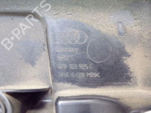 Upper protection AUDI A6 C6 Avant (4F5) 4.2 quattro | BP29099863M93 