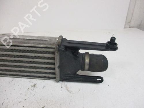 Intercooler FIAT GRANDE PUNTO (199_) 1.3 D Multijet | BP37116606M30 - Image 6