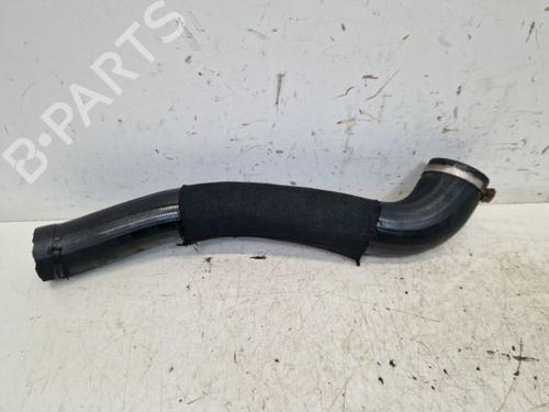 Pipe ALFA ROMEO GT (937_) 1.9 JTD (937CXN1B) | BP29099960M125