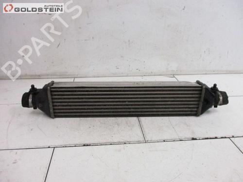 Intercooler FIAT BRAVO II (198_) 1.6 D Multijet (198AXL1B) | BP18788736M30 