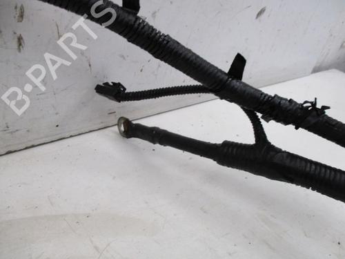 Wiring harness HYUNDAI SANTA FÉ II (CM) 2.2 CRDi GLS 4x4 | BP30668132E16 