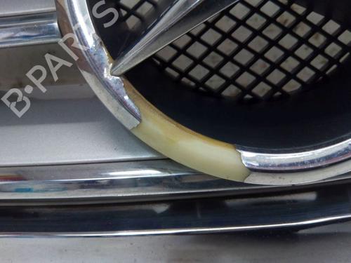 Grille MERCEDES-BENZ A-CLASS (W169) A 200 CDI (169.008, 169.308) | BP29106898C40 