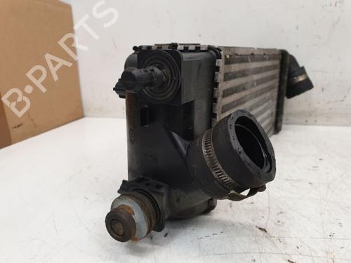 Intercooler FIAT 500 C (312_) 0.9 (312AG1A) | BP37147549M30 - Image 11