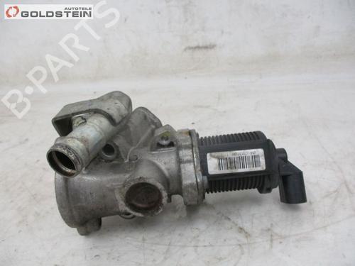 Egr FIAT GRANDE PUNTO (199_) 1.3 D Multijet | BP18750332M69 