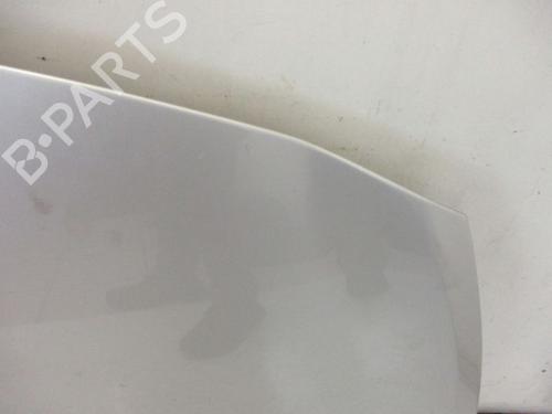 Hood RENAULT CLIO III (BR0/1, CR0/1) 1.2 16V (BR02, BR0J, BR11, CR02, CR0J, CR11) | BP18797203C1 