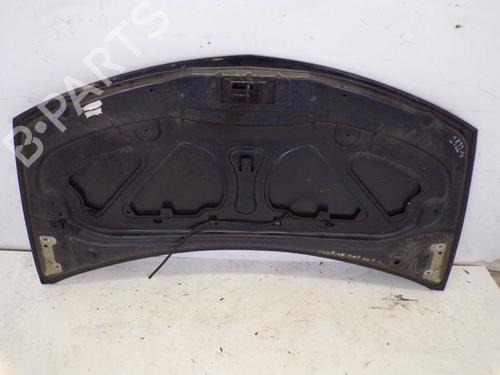 Hood RENAULT CLIO III (BR0/1, CR0/1) 1.6 16V (BR09, BR0T, CR09, CR0T) | BP29098067C1 