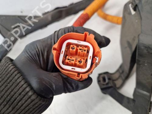 Wiring harness FORD KUGA III (DFK) 2.5 Duratec PHEV | BP31702950E16 