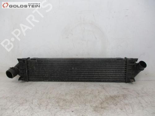 Intercooler FORD S-MAX (WA6) 2.0 TDCi | BP18750414M30 