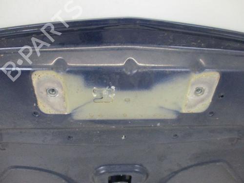Hood RENAULT CLIO III (BR0/1, CR0/1) 1.2 16V (BR02, BR0J, BR11, CR02, CR0J, CR11) | BP18798863C1 