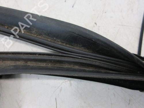 Gummiliste RENAULT ZOE (BFM_) ZOE | BP29099250C142 